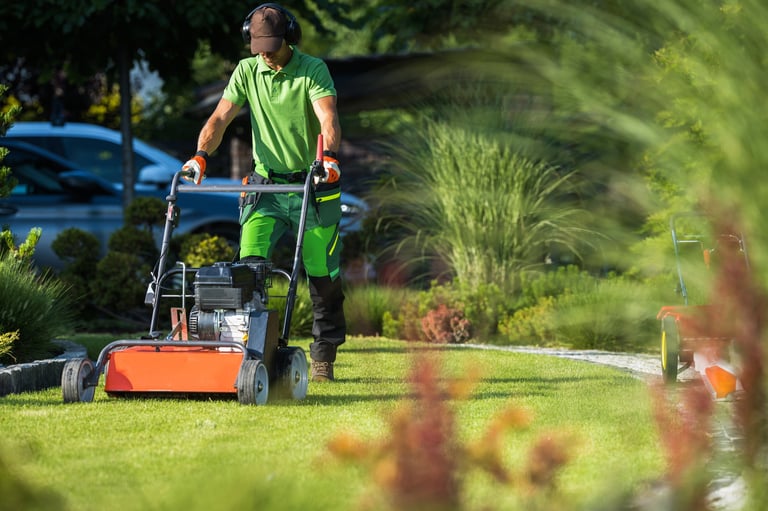 Landscaper with scarifier machine taking care of a lawn, removing straw and moss.