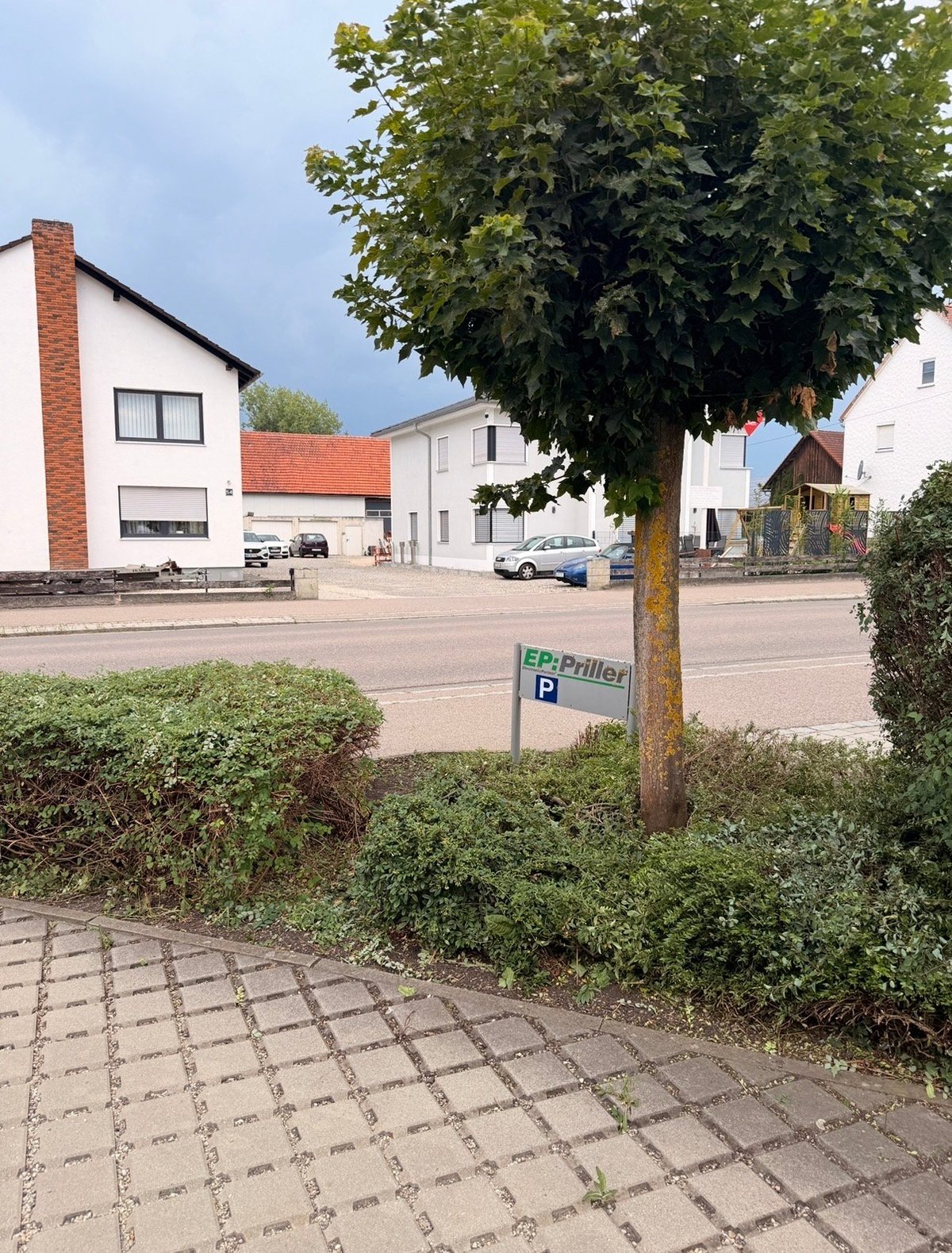 Residential street with modern houses, mature tree, and parking sign on paved area