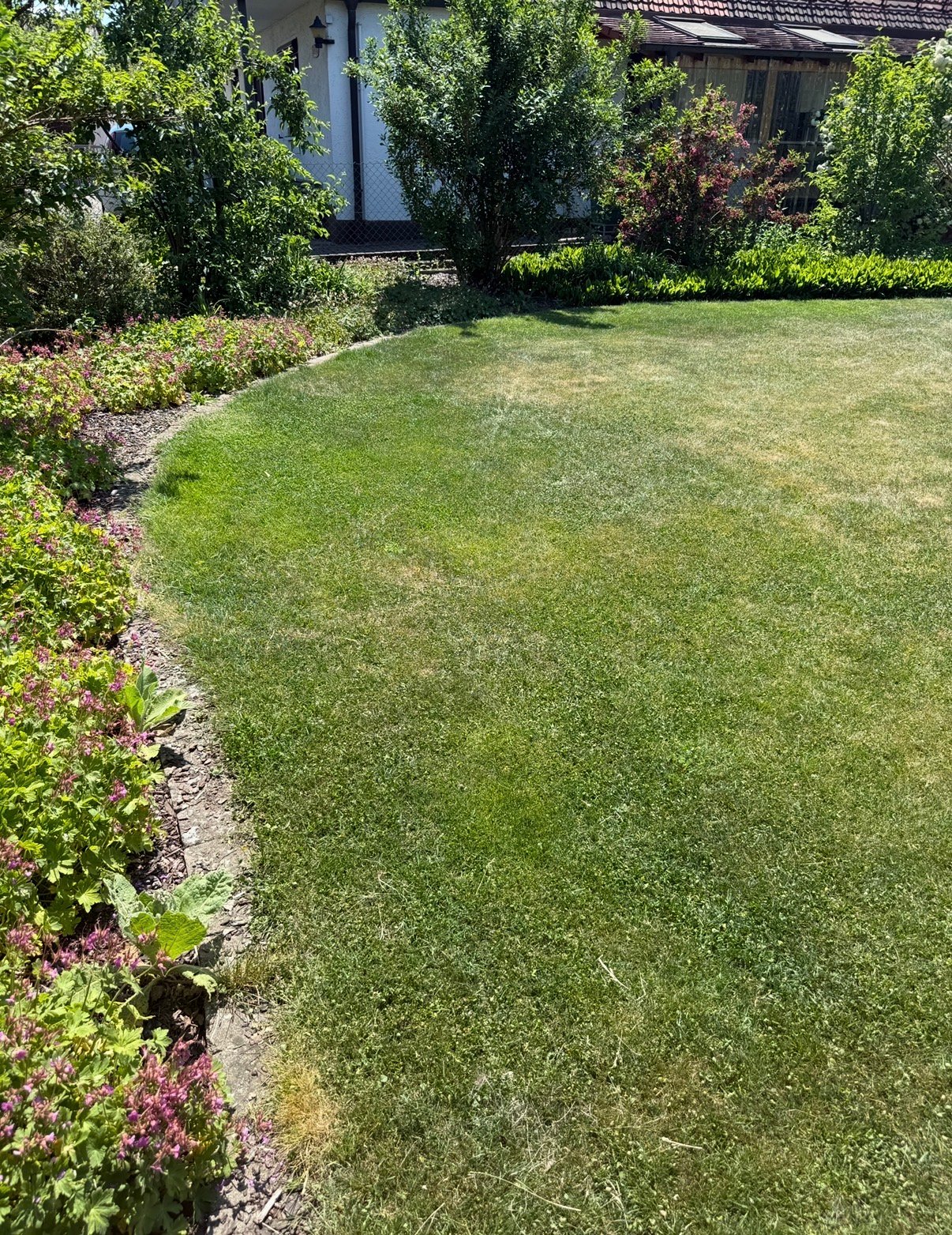 Well-manicured green lawn with flowering shrubs along the border and a house with white walls visible in the background.