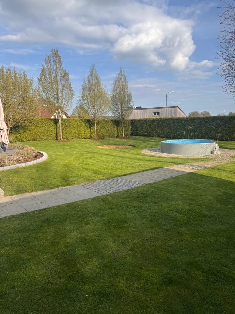 Spacious residential backyard with manicured lawn, round swimming pool, tall poplar trees, paved pathway, and house with hedges under cloudy sky